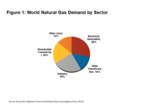 180731 Commentary Natural Gas Debate