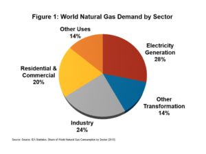 180731 Natural Gas Debate 1